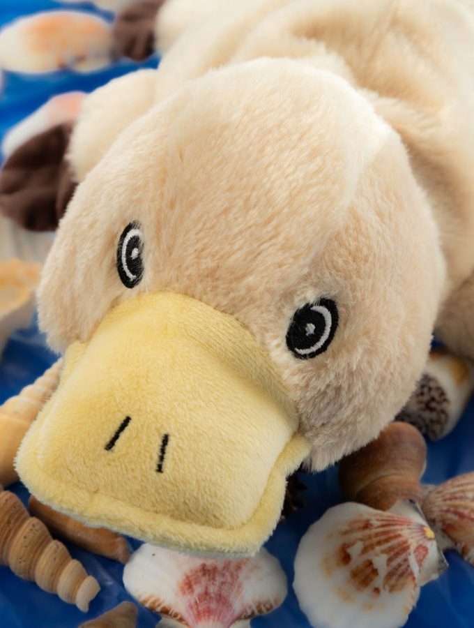 Magnetronknuffel Habibi® Vogelbekdier