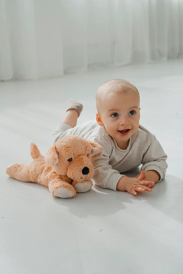 Magnetronknuffel Habibi® labrador