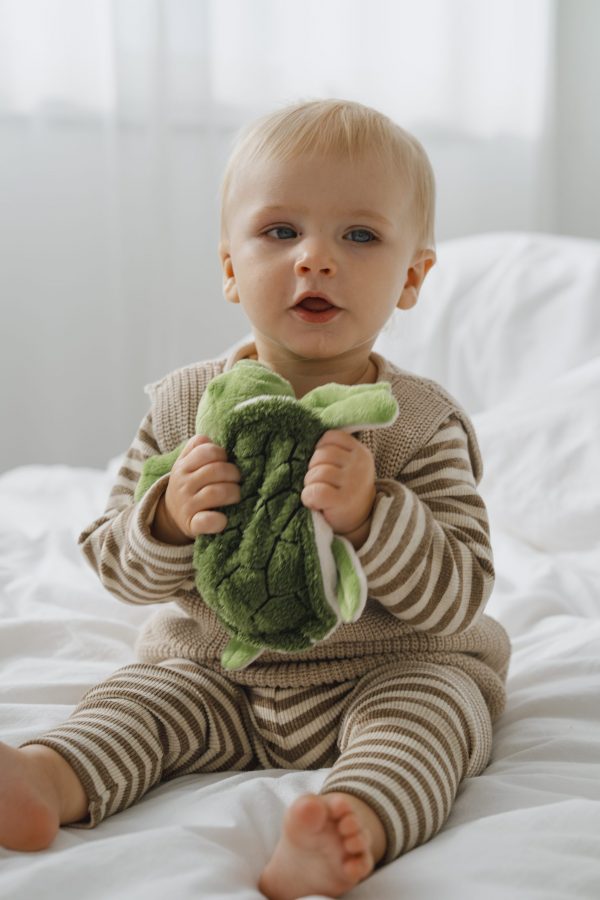 Magnetronknuffel Warmies