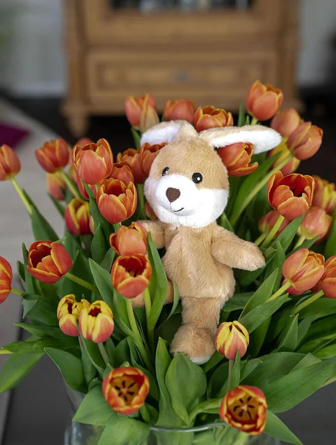 Magnetronknuffel Habibi® MIDI haas