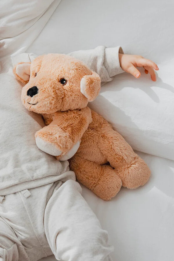 Magnetronknuffel Habibi® labrador