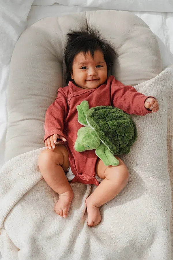 Magnetronknuffel Habibi® schildpad