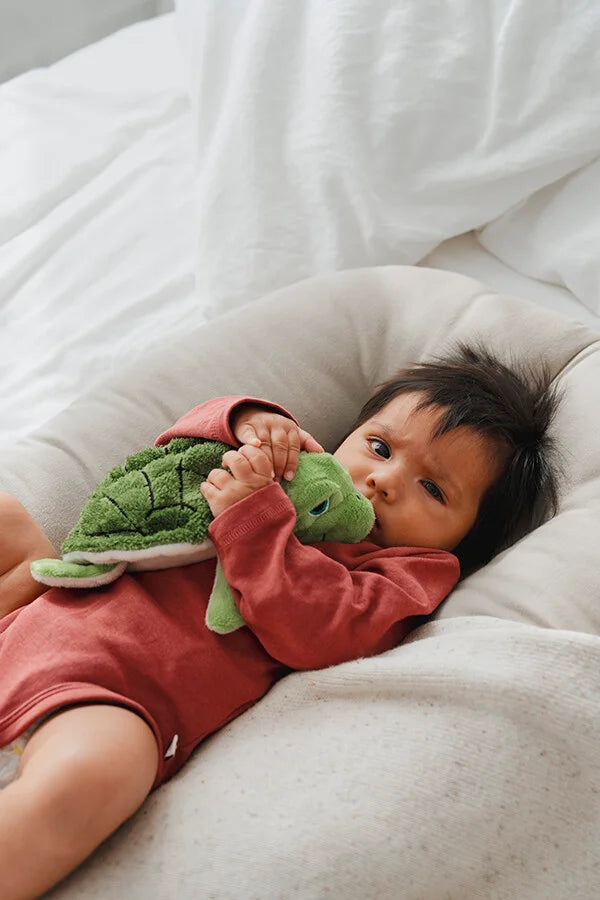 Magnetronknuffel Habibi® schildpad