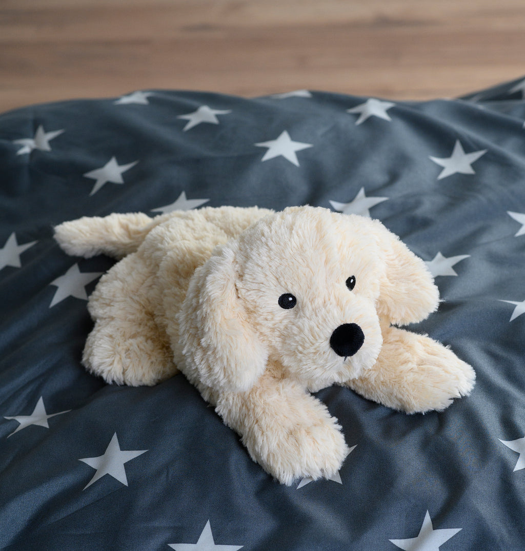 Magnetronknuffel Warmies® golden retriever