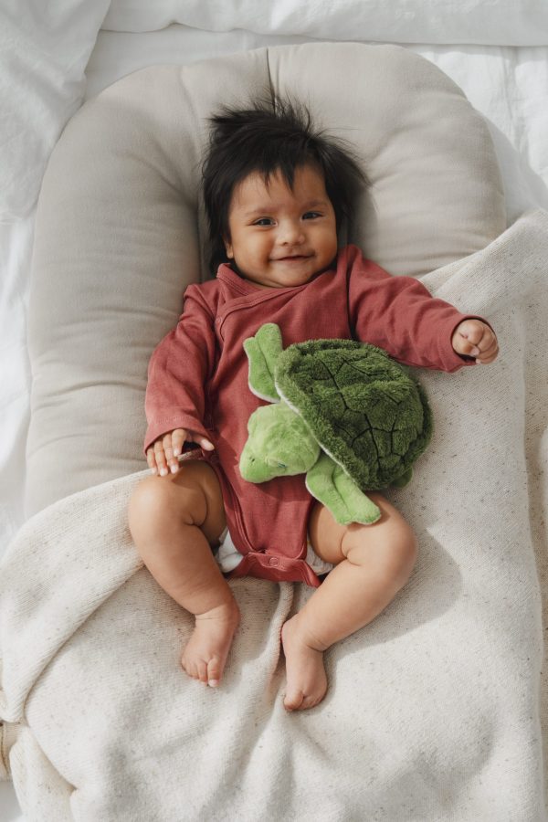 Magnetronknuffel Warmies