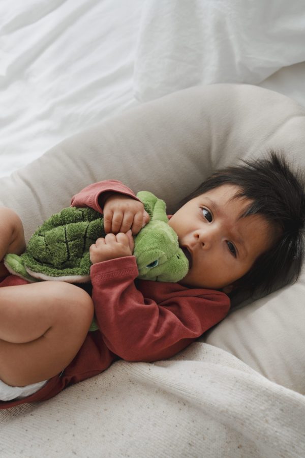 Magnetronknuffel Habibi® Waterschildpad